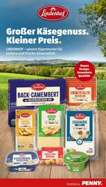 PENNY Prospekt woche 2 Seite 13