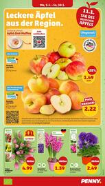 PENNY Prospekt woche 2 Seite 3