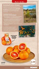 PENNY Prospekt woche 2 Seite 5