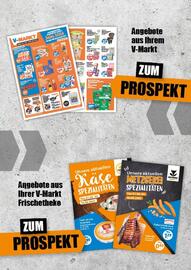 V Baumarkt Prospekt woche 2 Seite 6