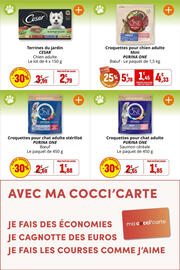 Catalogue Coccinelle Express page 31