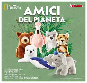 Volantino Sigma Pagina 13