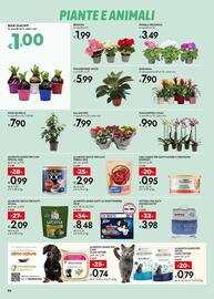 Volantino Bennet Pagina 24