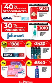 Folleto Supermercados DIA Página 20