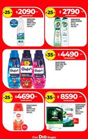 Folleto Supermercados DIA Página 21