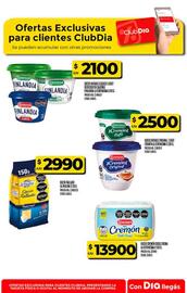 Folleto Supermercados DIA Página 43