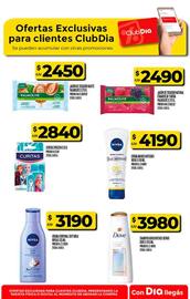 Folleto Supermercados DIA Página 45