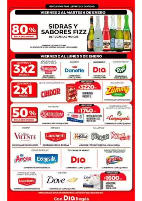 Folleto Supermercados DIA (válido hasta 6-01)