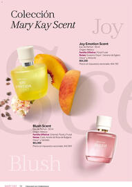 Catálogo Mary Kay Página 58