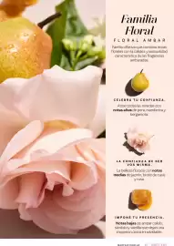 Catálogo Mary Kay Página 57