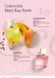 Catálogo Mary Kay Página 58