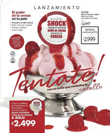 Catálogo Violetta Cosméticos Página 13