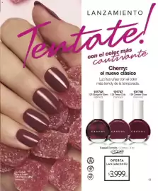 Catálogo Violetta Cosméticos Página 11