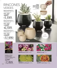 Catálogo Violetta Cosméticos Página 110