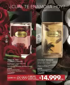 Catálogo Violetta Cosméticos Página 121