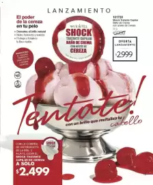 Catálogo Violetta Cosméticos Página 13