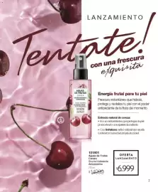 Catálogo Violetta Cosméticos Página 7