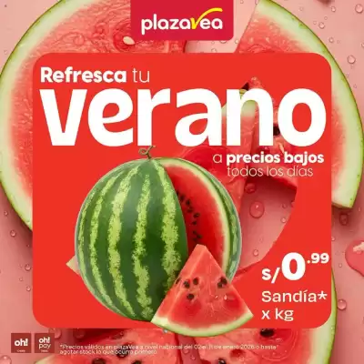 Catálogo Plaza Vea (válido hasta 18-01)