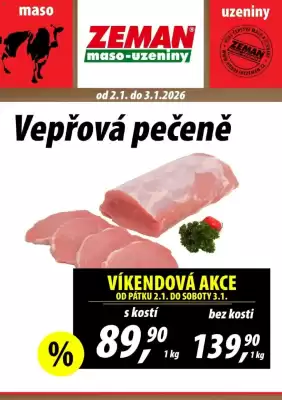 ZEMAN leták (platné do 3-01)