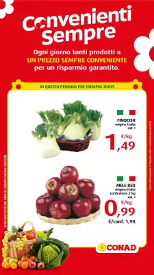 Volantino Conad (valido fino al 6-01)