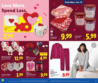 Lidl weekly ad Page 17