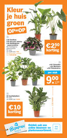 Albert Heijn folder week 2 Pagina 37