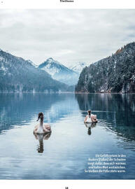 Fressnapf Magazin Seite 14