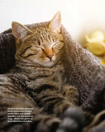 Fressnapf Magazin Seite 15