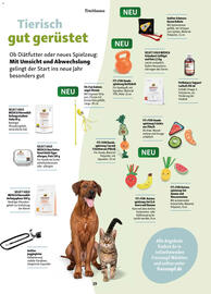 Fressnapf Magazin Seite 19