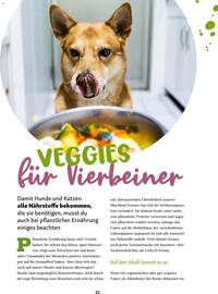 Fressnapf Magazin Seite 22