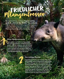 Fressnapf Magazin Seite 36