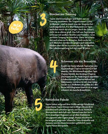 Fressnapf Magazin Seite 37