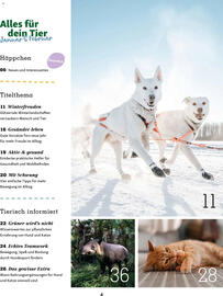 Fressnapf Magazin Seite 4