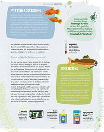 Fressnapf Magazin Seite 45