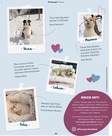 Fressnapf Magazin Seite 53