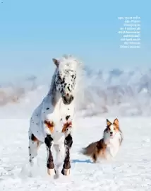 Fressnapf Magazin Seite 12