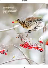 Fressnapf Magazin Seite 13