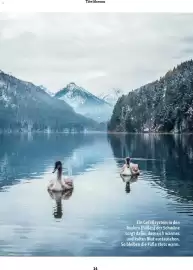 Fressnapf Magazin Seite 14