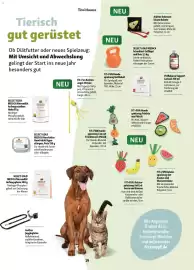 Fressnapf Magazin Seite 19