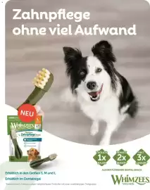 Fressnapf Magazin Seite 2