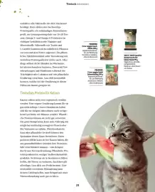 Fressnapf Magazin Seite 23