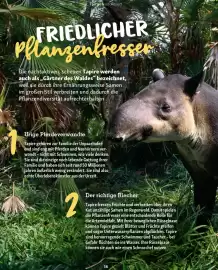 Fressnapf Magazin Seite 36