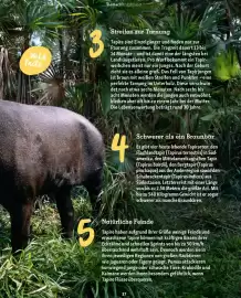 Fressnapf Magazin Seite 37