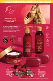 Catálogo Hinode Página 48