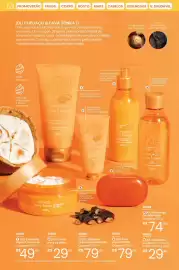 Catálogo Hinode Página 49