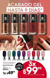 Catálogo Fuller Página 103