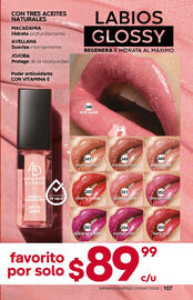 Catálogo Fuller Página 107