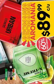 Catálogo Fuller Página 11