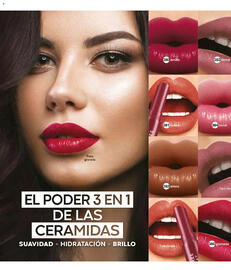 Catálogo Fuller Página 110