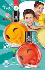 Catálogo Fuller Página 140